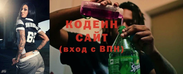 индика Краснослободск