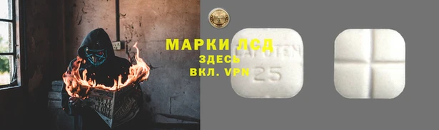 индика Краснослободск