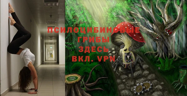 индика Краснослободск