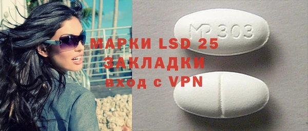 индика Краснослободск