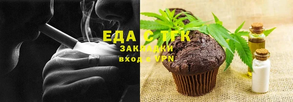 индика Краснослободск