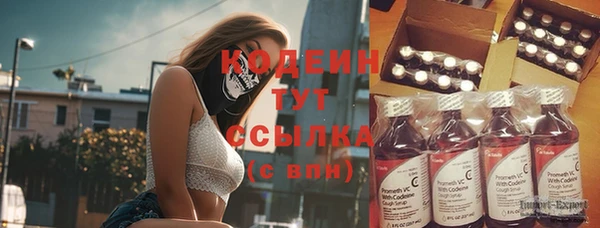 индика Краснослободск