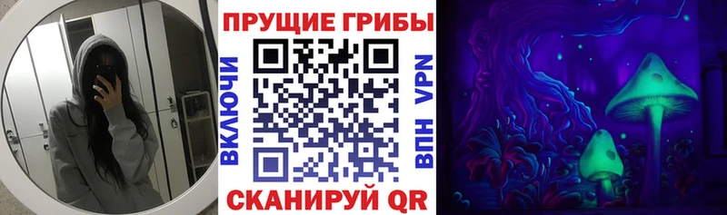 наркошоп  Спасск  Псилоцибиновые грибы Psilocybine cubensis 